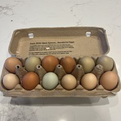 Hatching Eggs 