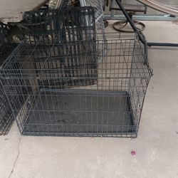 Dog Kennel