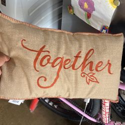 Nice Couch Pillow 