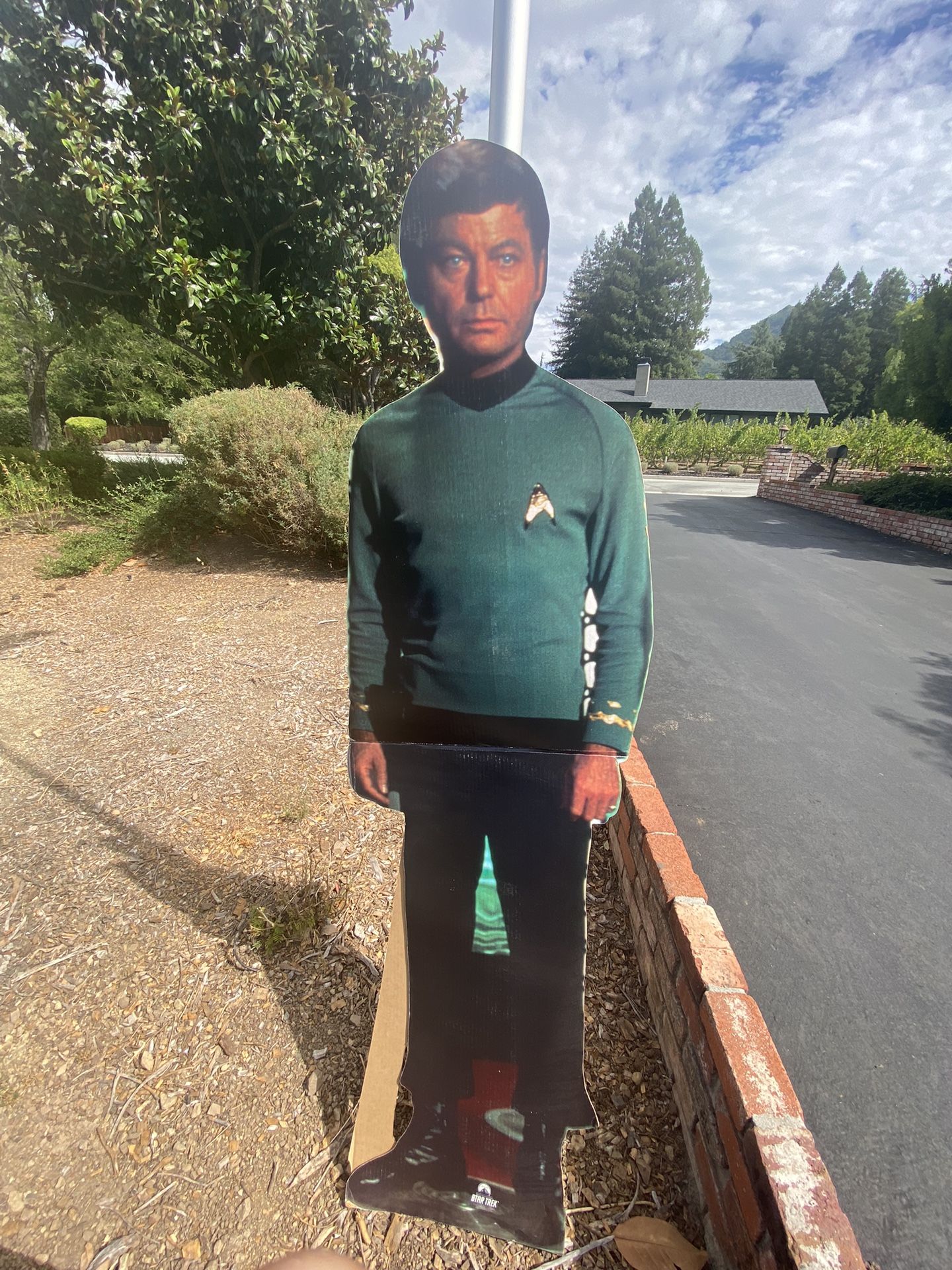 Star Wars & Star Trek Cutouts