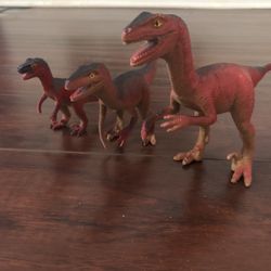 3-pack Raptor Family