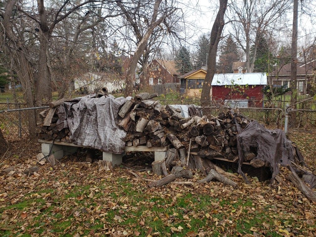 FREE FIREWOOD in Old Redford, Detroit
