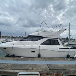 1995 Bayliner Avanti