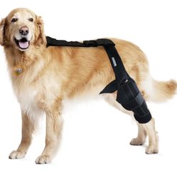 Dog Knee Brace For Torn ACL & Hind Leg Support