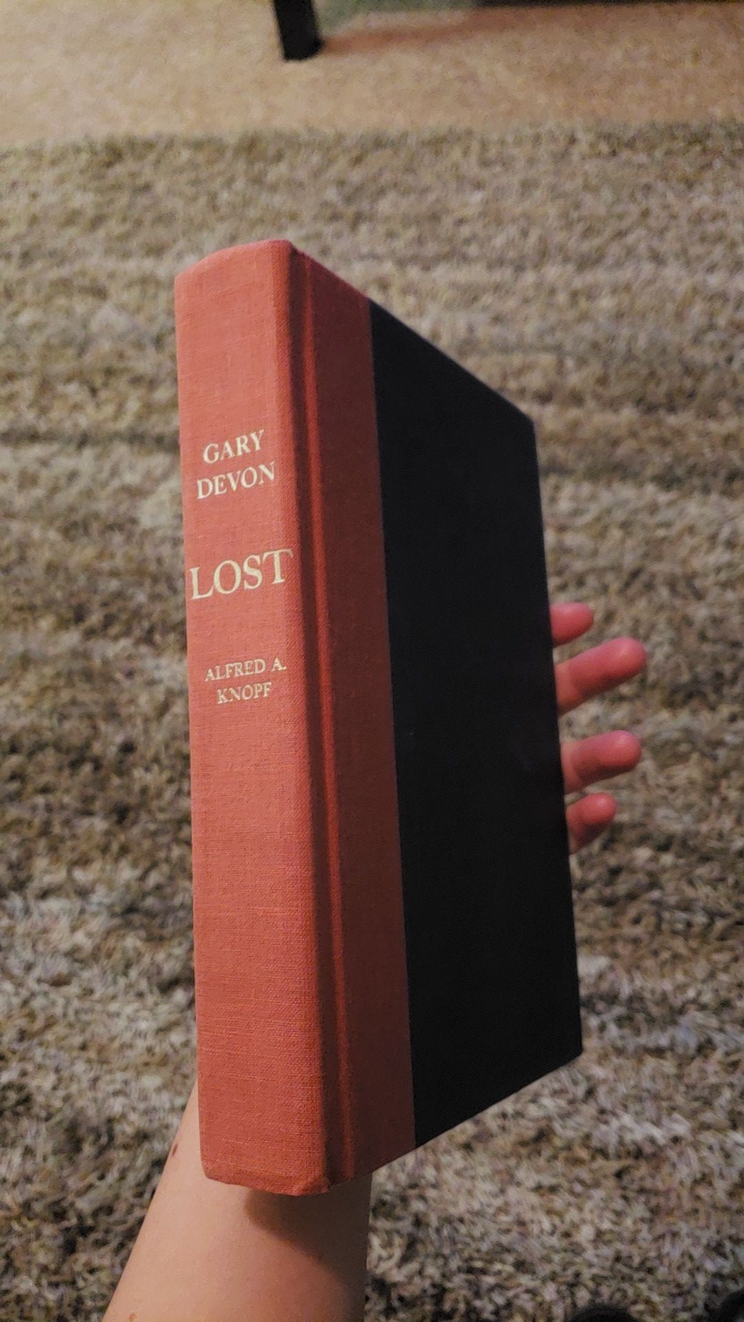 Lost by Gary Devon