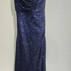 Elegant  Dress  14w