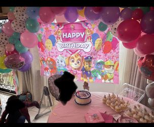Paw Patrol Backdrop Only