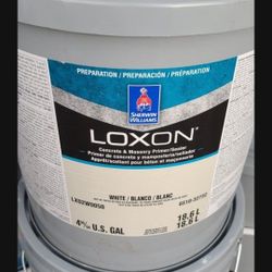 Loxon Primer Paint 