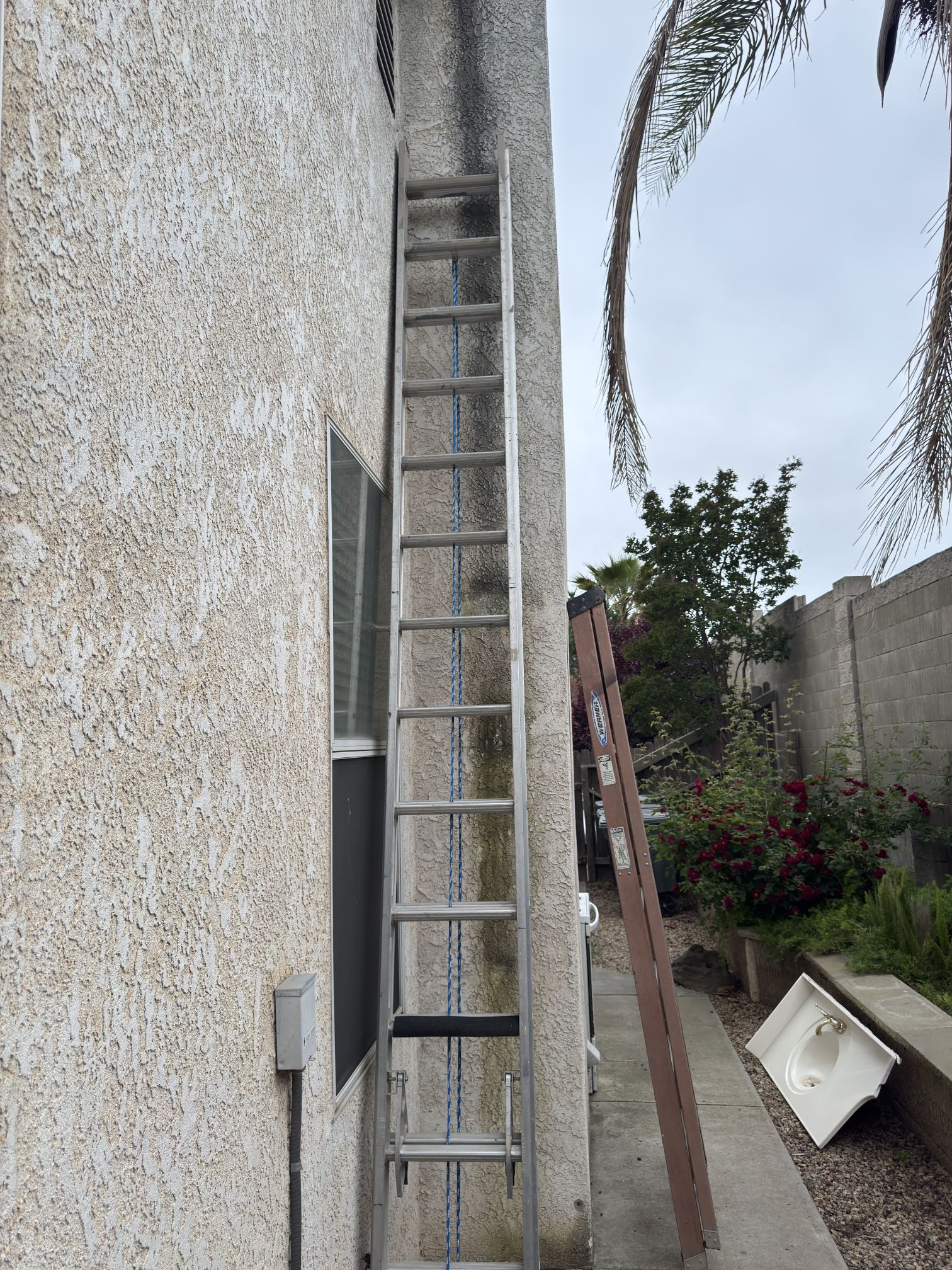 16 Ft Ladder