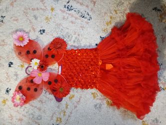 Girls Dresses With Matching Butterfly wings