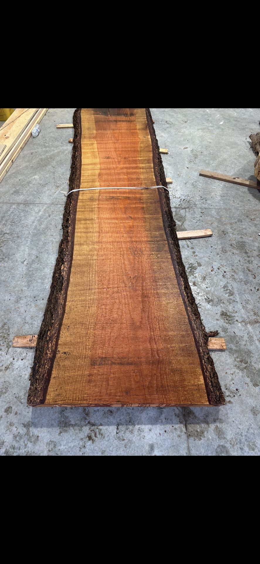 Live Edge Slab /Dry