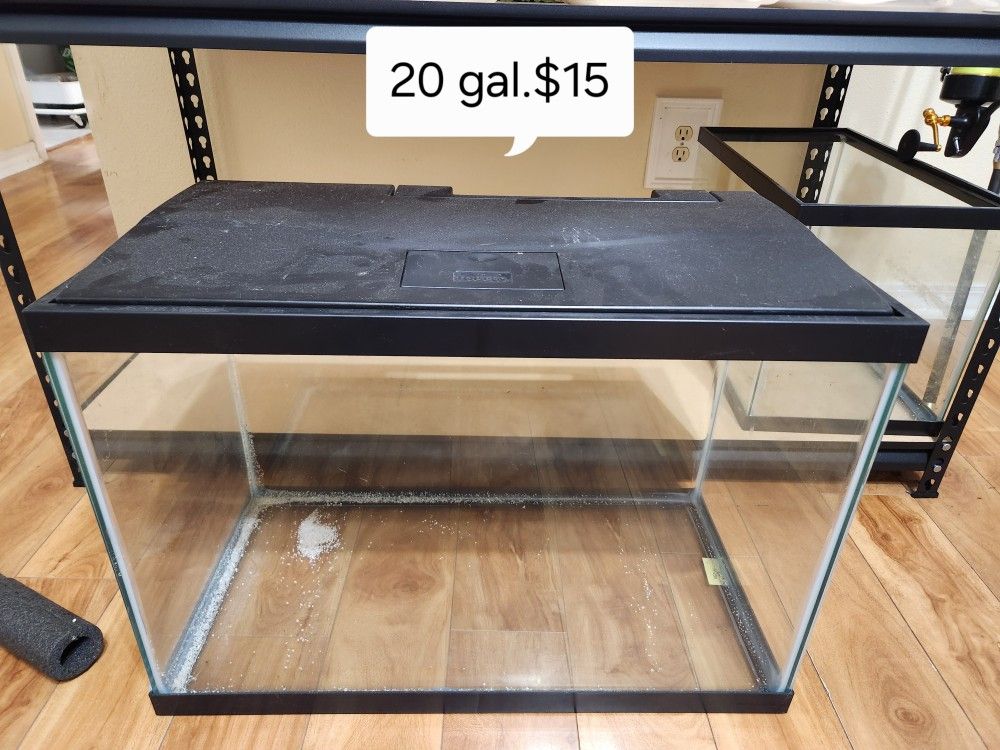 20Gal Aquarium 