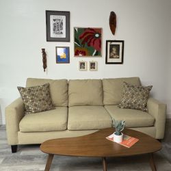 Super Comfortable Max Home Sofa - Free Delivery Throughout Omaha