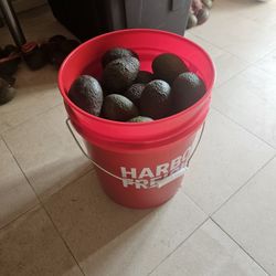 Avocados 🥑 🥑 🥑  50 For $30