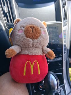 Love toys kitty cat in McDonald's French fries box