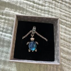 Pandora Charm & Necklace