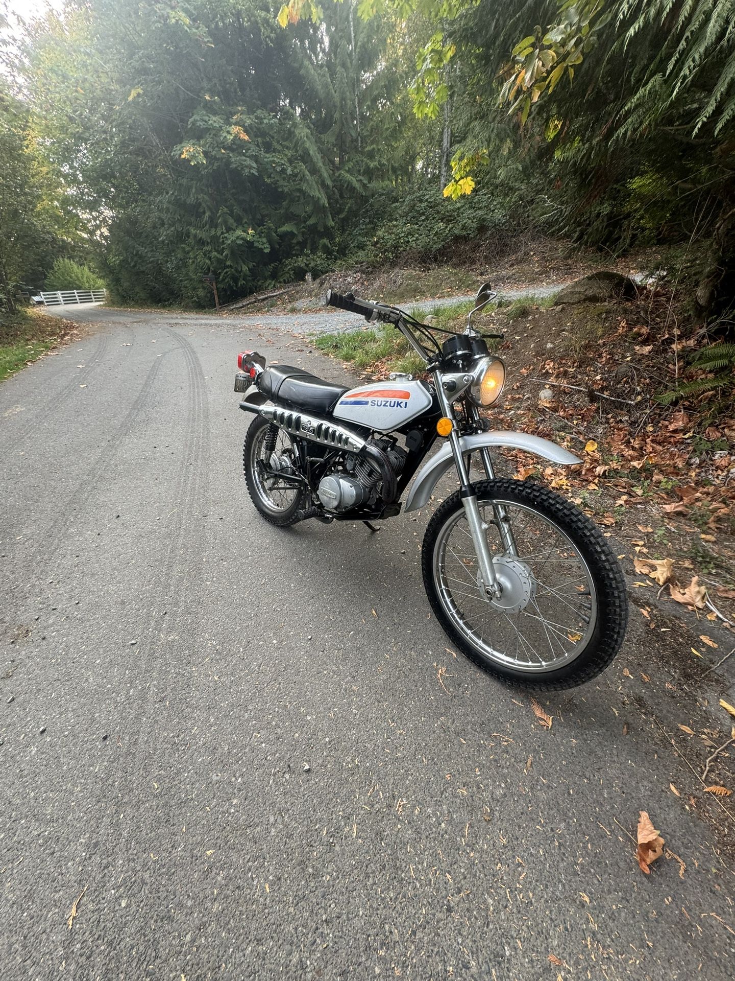 Suzuki Ts185