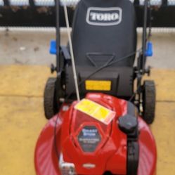 LAWN MOWERS