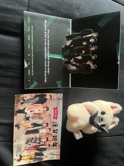 Stray kids cards and plushy keychain!