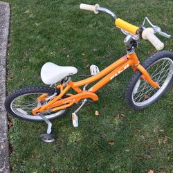 Fuji Kids Bike