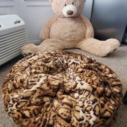 Big Teddy Bear & Bean Bag $10