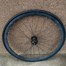 Fixie Back Rim With Double Cogs    (READ DESCRIPTION ‼️‼️)