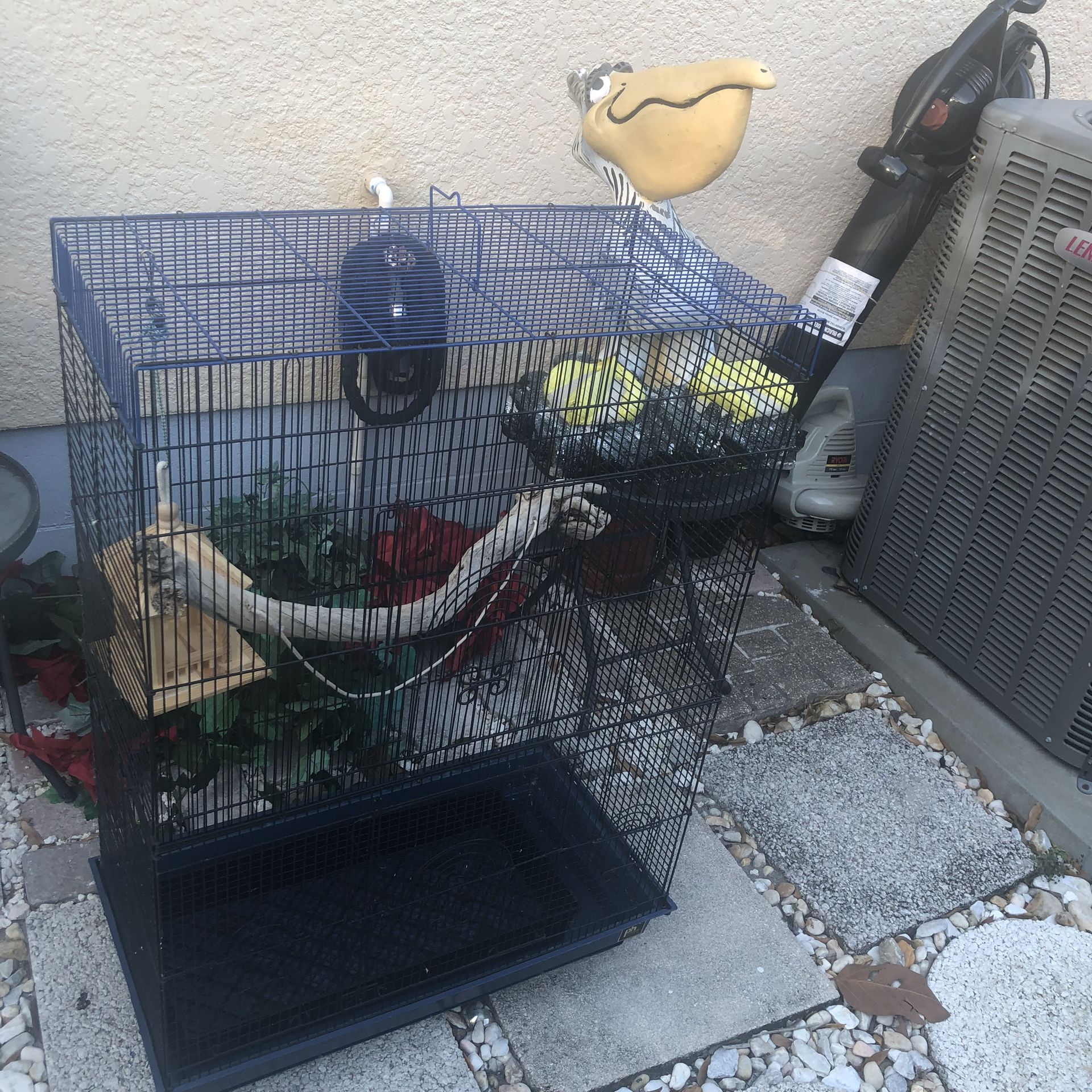 Bird Cage