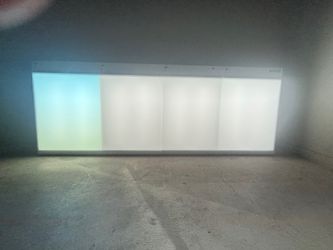 X-ray light box