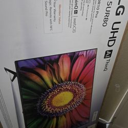 55" Inch LG UHD AI ThinQ TV 55UR80 