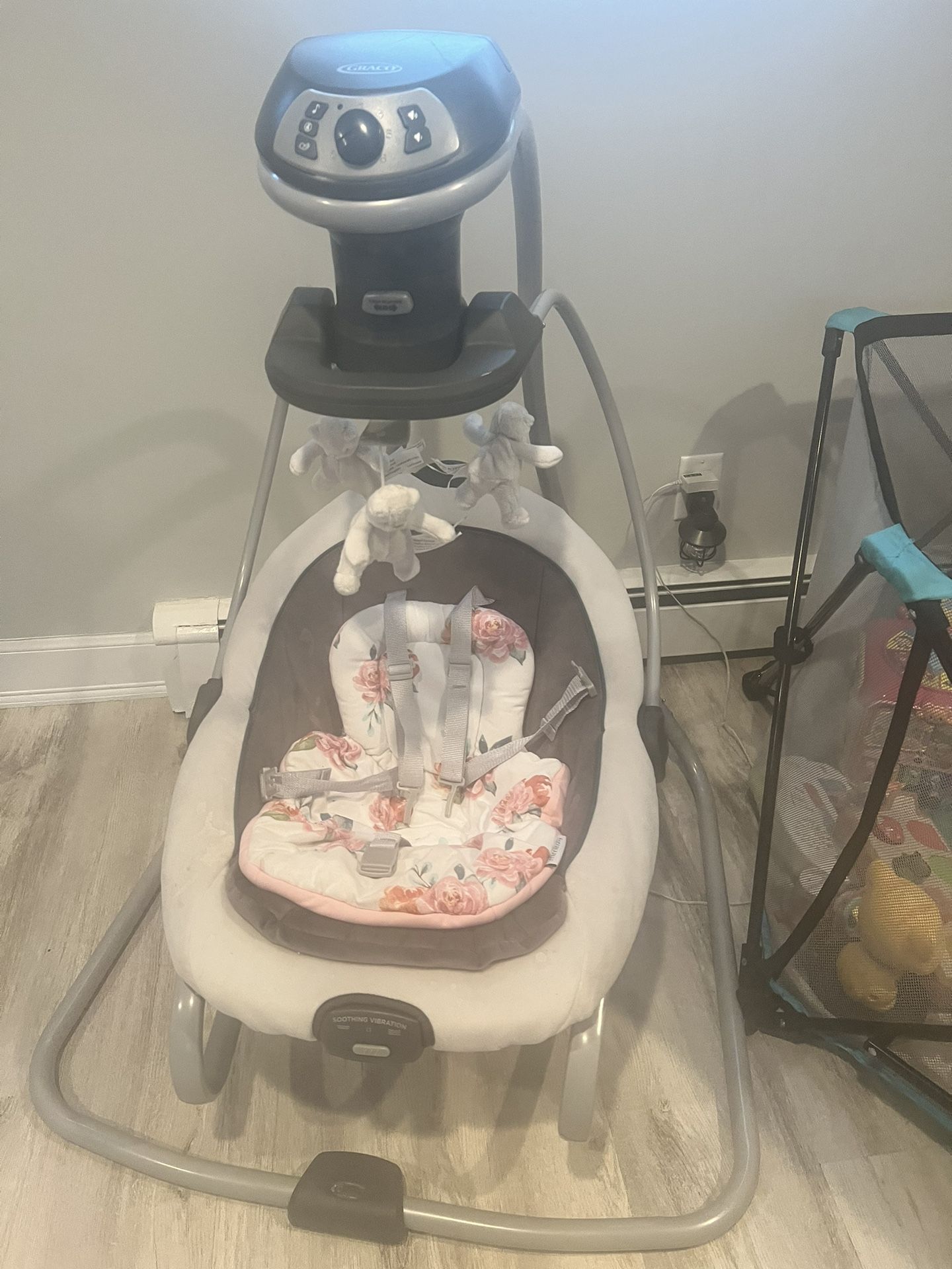 Graco Baby Swing 