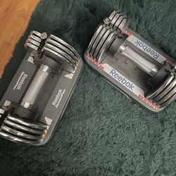 25lb Adjustable Dumbbells - Set of 2