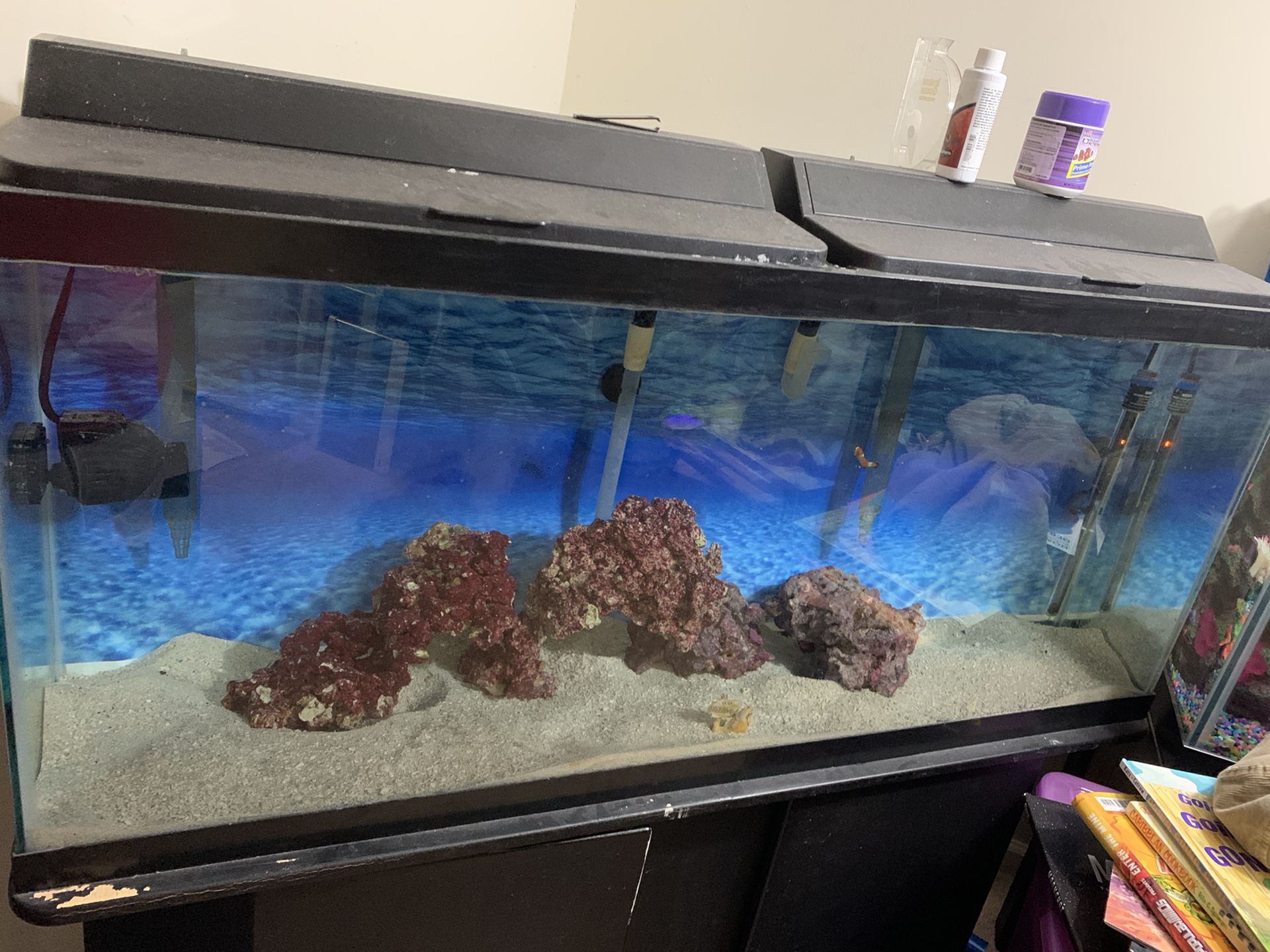55 Gal fish tank