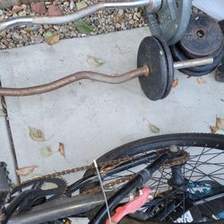Curlbar 50pds
