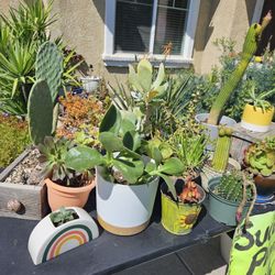 All And More.  Pick Up. Price Fro. T To 10 Each