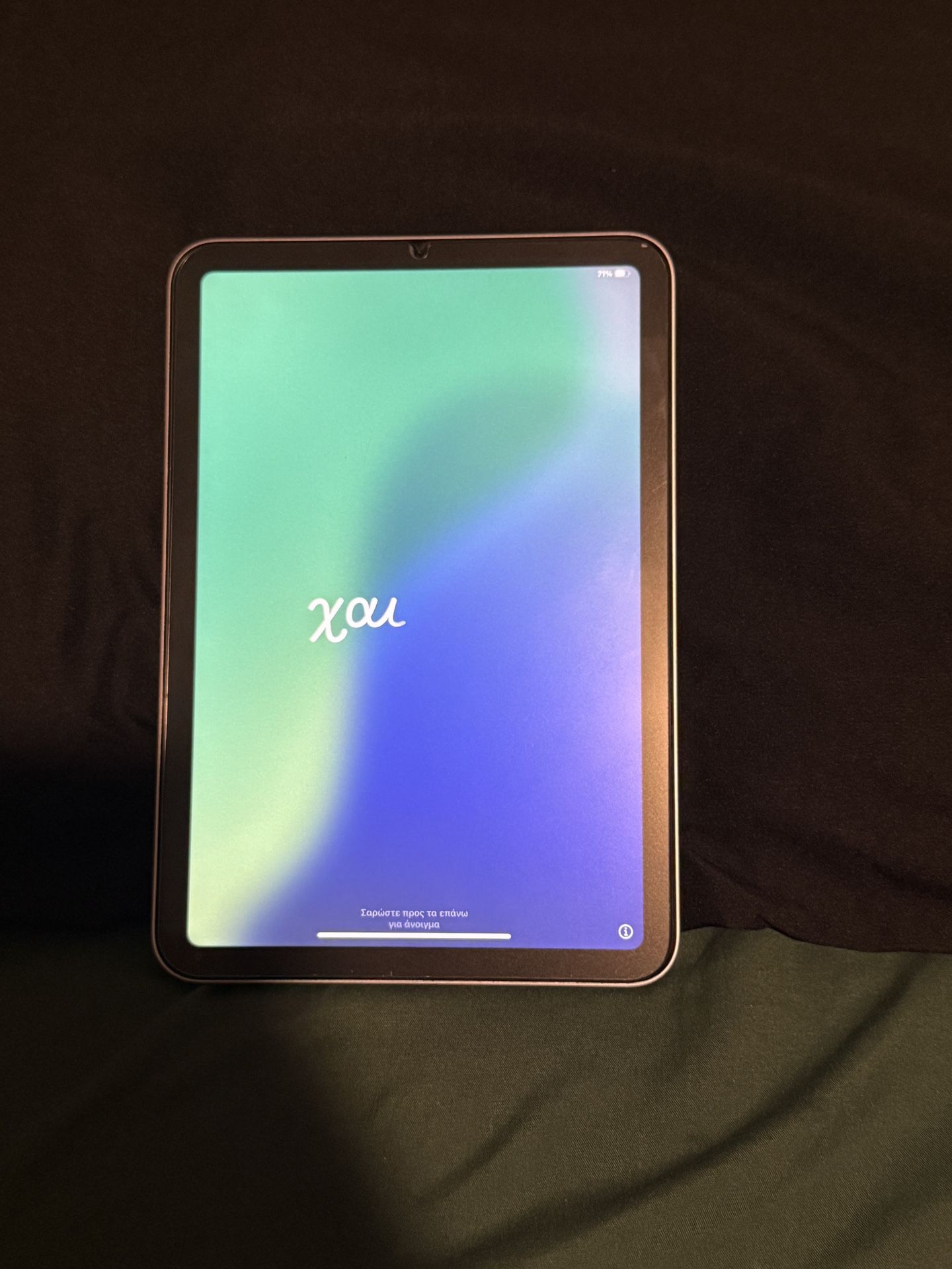 ipad Mini (A2993)