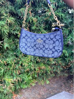 Coach Signature Mini Shoulder Bag