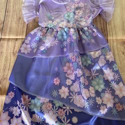 Encanto Isabella Costume Dress Girl Size 4-6X