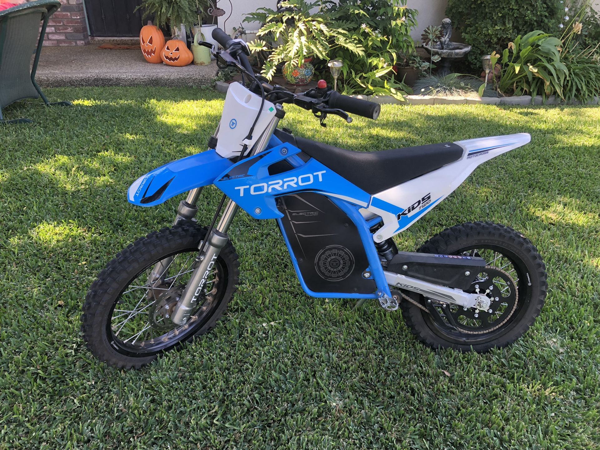 2022 Torrot Kids 2 Electric Dirt Bike