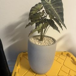 Potted Fake Plant Home Decor 