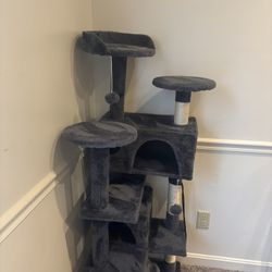 Cat Tree