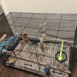 Pet Parakeet / Supplies 