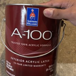 1gallons Of Flat White Paint 