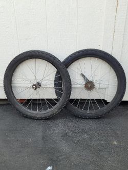 20" Coaster Wheels
