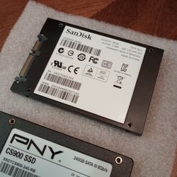 PNY and SanDisk SSDs