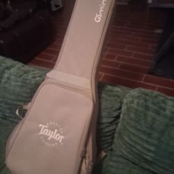 Taylor GS Mini Guitar Bag