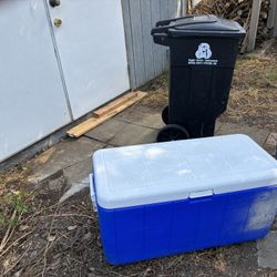 Cooler Coleman