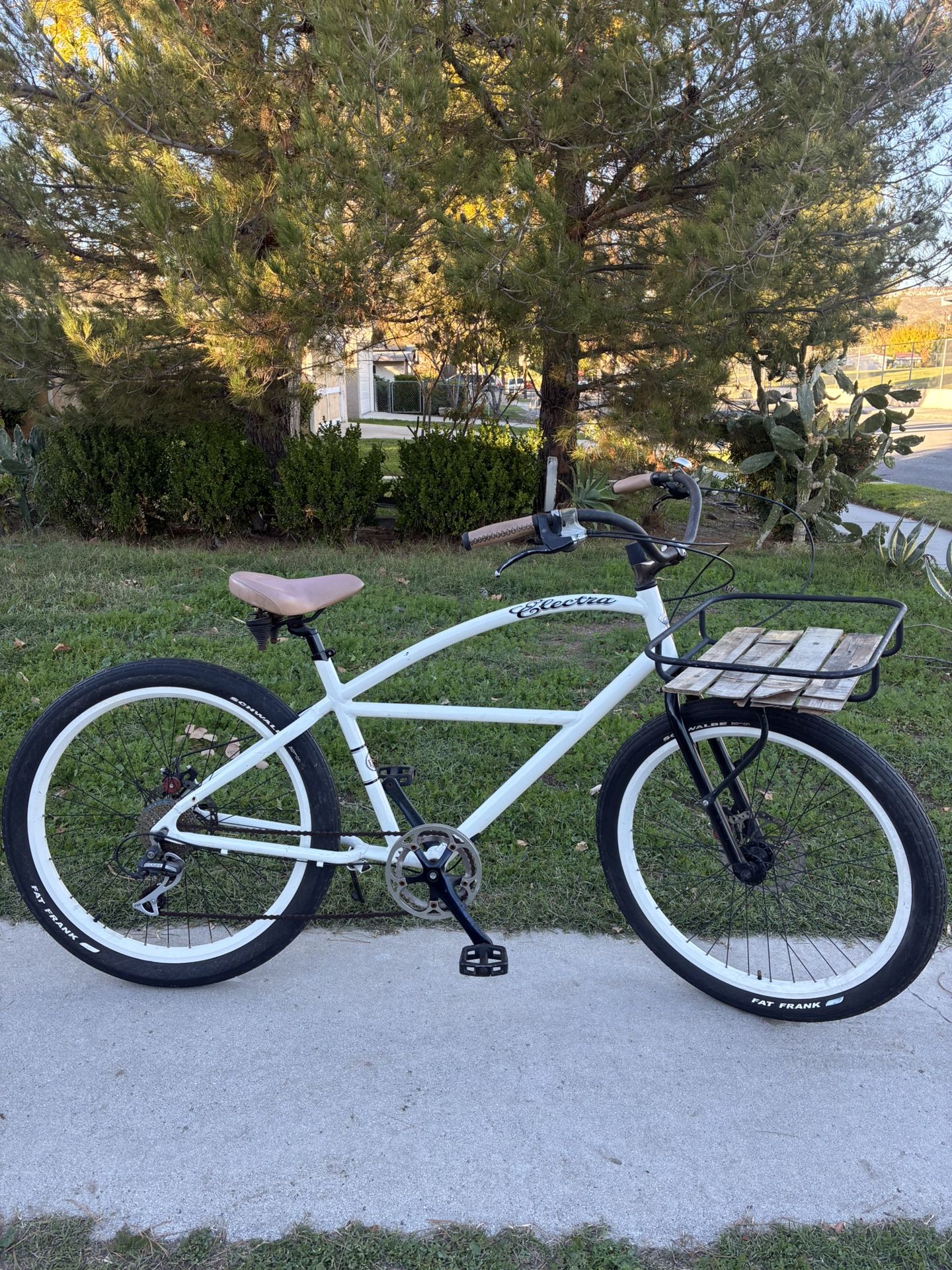 Electra Bike
