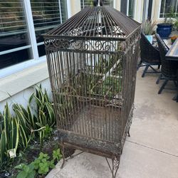 Bird Cage