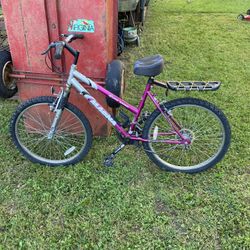 Ladies Bike