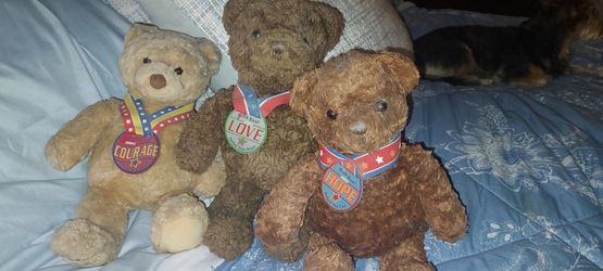 Gund 14" Set of 3 Wish Bears